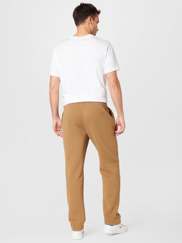 HOLLISTER Regular Pants in Brown