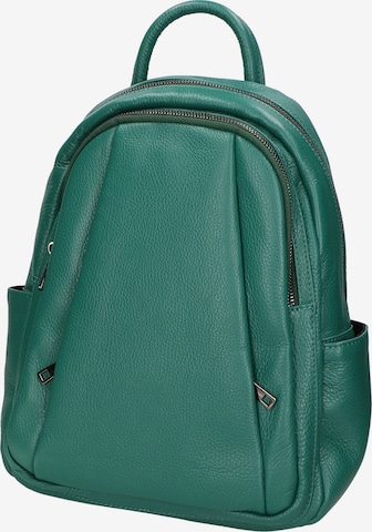 Gave Lux Backpack in Green: front