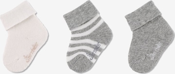 STERNTALER Socks in Beige: front