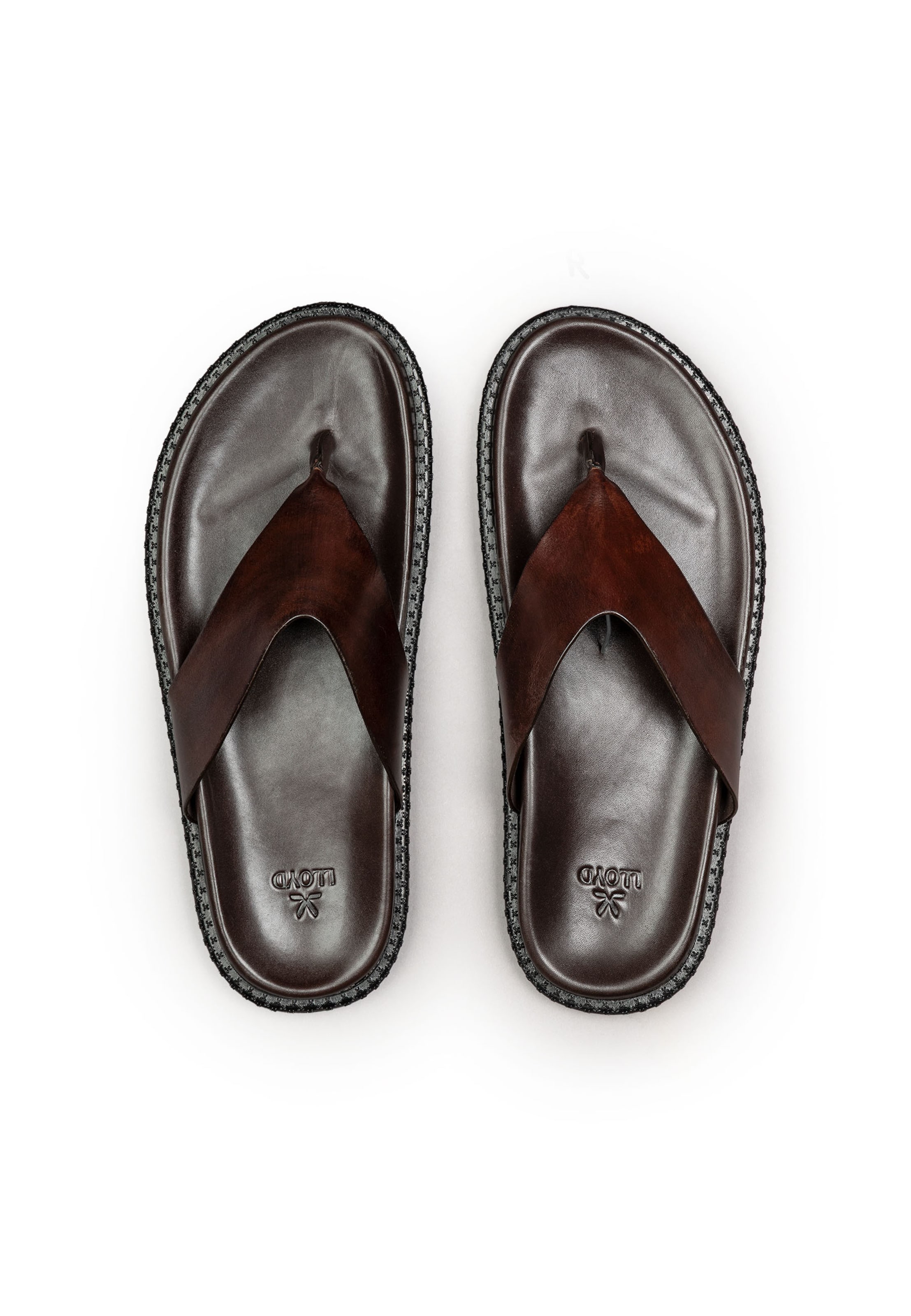 LLOYD T-bar sandals 'WADE' in Brown
