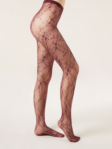 CALZEDONIA Tights in Red