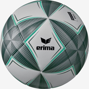ERIMA Ball in Grey: front