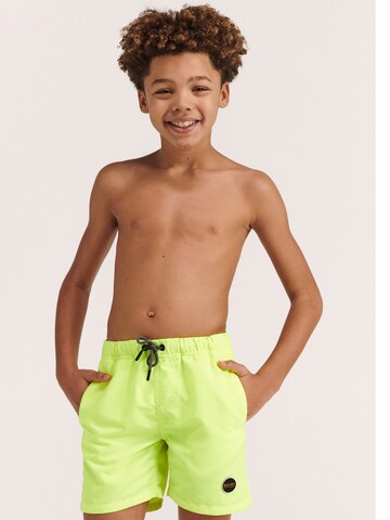 Shiwi Board Shorts in Green: front