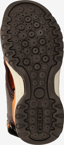 GEOX Sandals 'Borealis B. D' in Brown