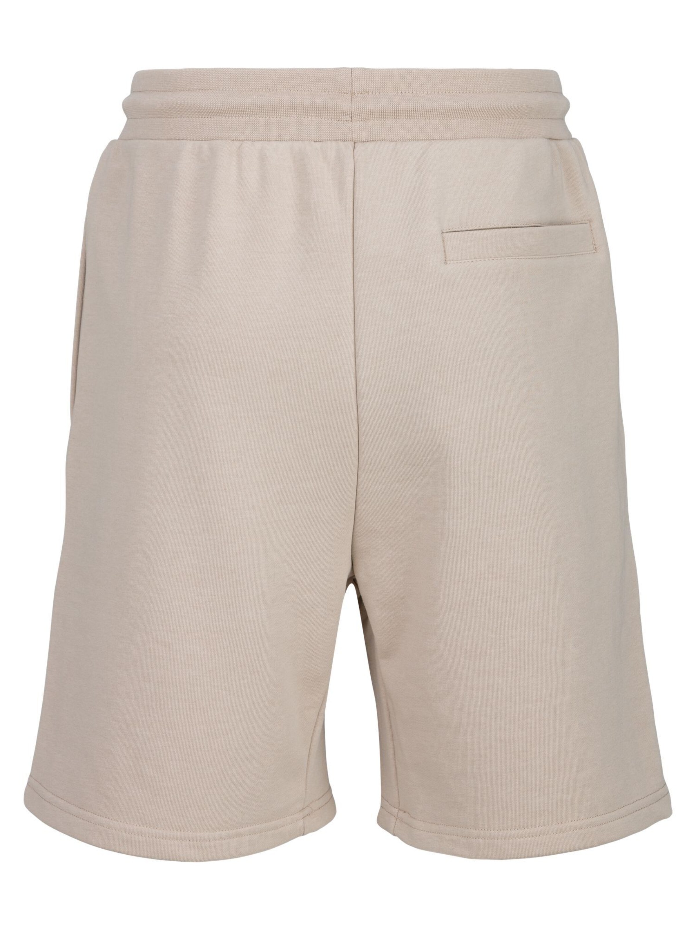 19V69 ITALIA Обычный Штаны в Зеленый