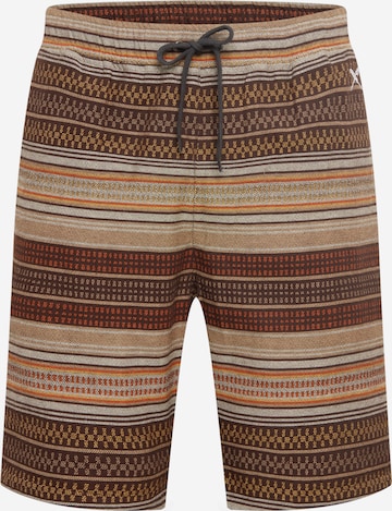 Iriedaily Regular Shorts 'Santo' in Braun: predná strana