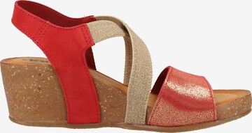 IGI&CO Strap Sandals in Mixed colors