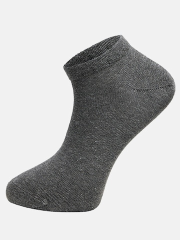 Tazzio Socken 'A906' in Grau