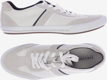 GEOX Sneakers & Trainers in 45 in Beige: front