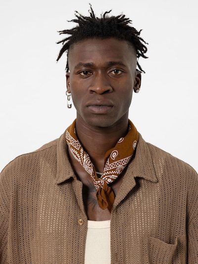 VAMOS CLO Button Up Shirt 'Lithodora' in Brown, Item view