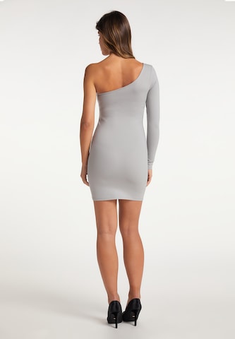 faina Dress in Grey