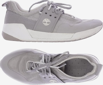 TIMBERLAND Sneakers & Trainers in 39 in Grey: front