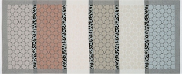 CODELLO Scarf in Beige