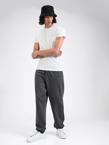 WEEKDAY Tapered Pants in Grey