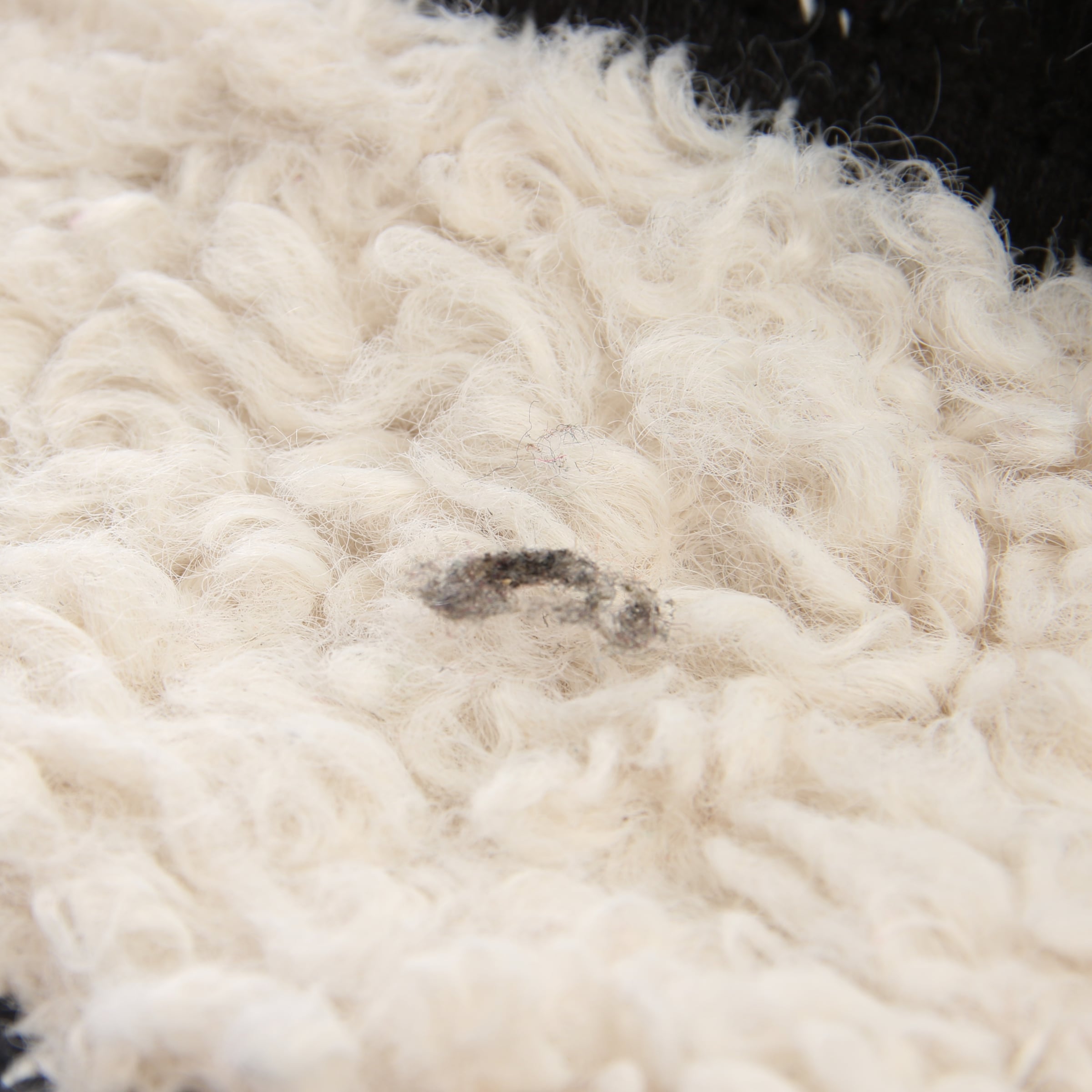 Lala Berlin Bag in One size in Mixed colors