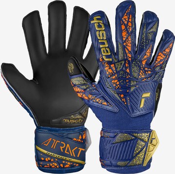 REUSCH Sporthandschoenen 'Attrakt Infinity' in Blauw: voorkant