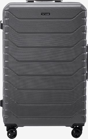 Valisette 'PEAFOWL' WINGS en gris : devant