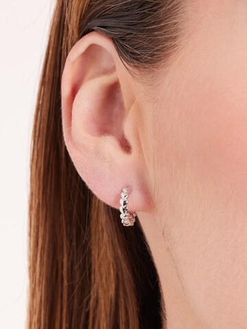 Lucardi Earrings in Silver: front