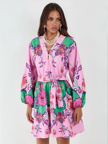 MSN Collection Dress in Pink: front