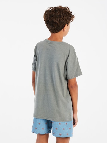 PROTEST Shirt 'PRTLuke JR' in Grey