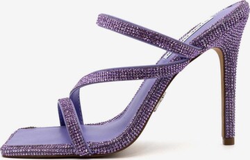 STEVE MADDEN Strap Sandals in Purple