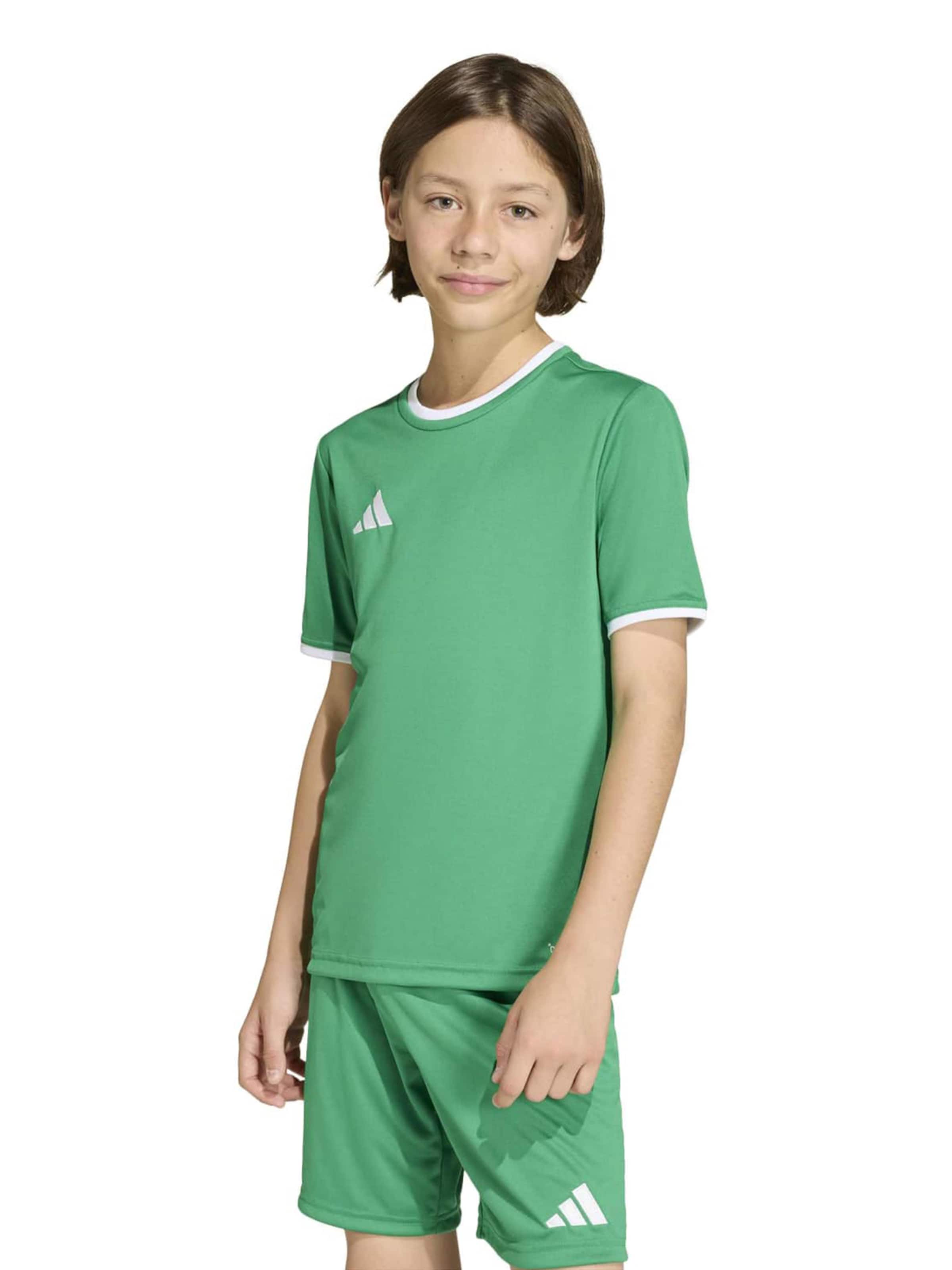 žalia ADIDAS PERFORMANCE Sportiniai marškinėliai 'ENT26': priekis