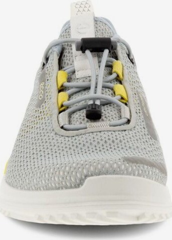 ECCO Sneakers laag 'Biom' in Grijs