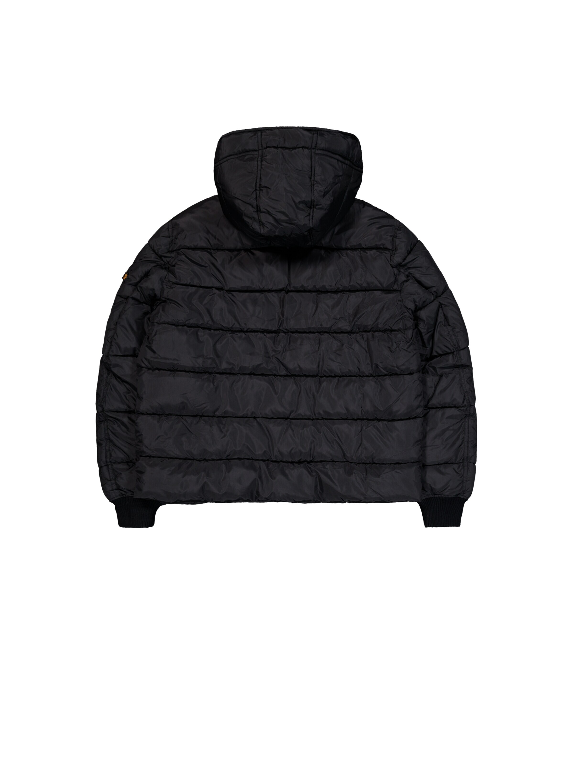 ALPHA INDUSTRIES Winterjacke 'Alpha FD'‌‌‌‌‌‌‌‌ in Schwarz