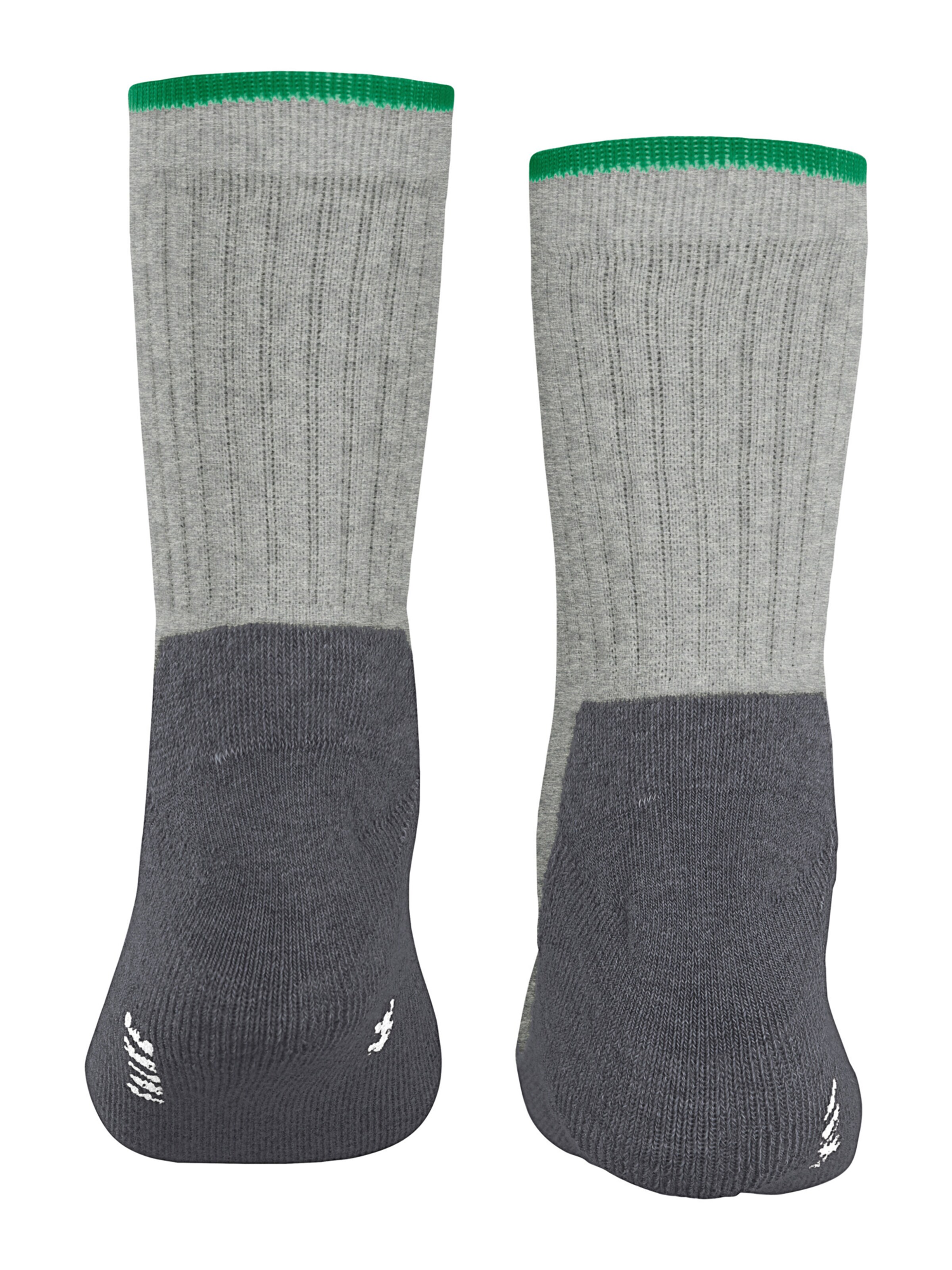 FALKE Spordisokid 'Active Everyday', värv hall