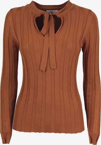 Influencer Sweater in Brown: front