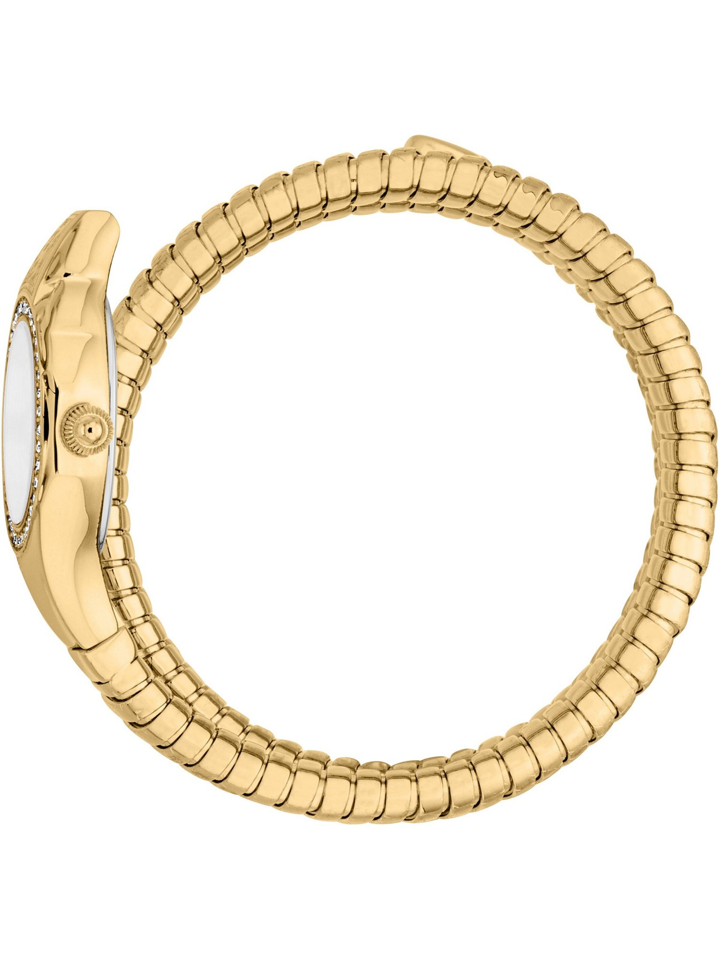 Just Cavalli Analog Watch in Gold