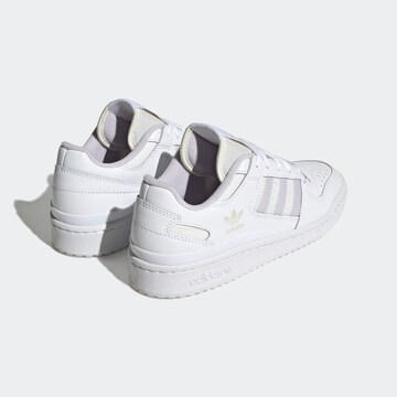 Baskets basses 'Forum' ADIDAS ORIGINALS en blanc