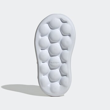 ADIDAS SPORTSWEAR Sneakers in White