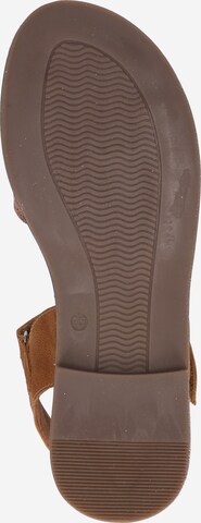 clic Sandals in Brown