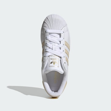 Baskets basses 'Superstar II' ADIDAS ORIGINALS en blanc