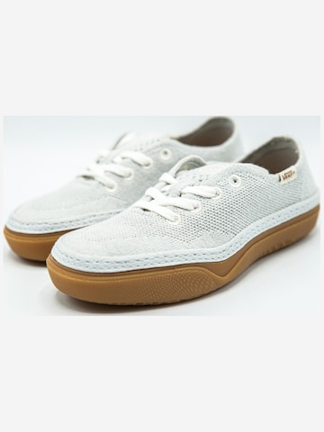 Baskets basses 'Vans Circle Vee' VANS en gris
