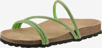 Aniston Pantolette in Grün: Vorderseite