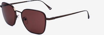 Occhiali da sole 'WE0355' di Web Eyewear in marrone: frontale