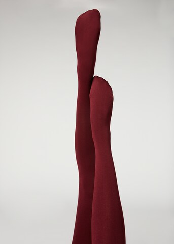 CALZEDONIA Tights 'thermo' in Red