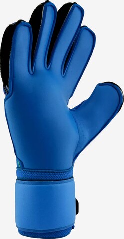 UHLSPORT Athletic Gloves in Blue