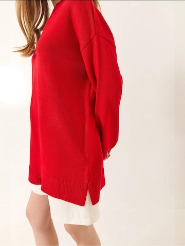 Bianco Lucci - Pullover 'Pullover' em vermelho