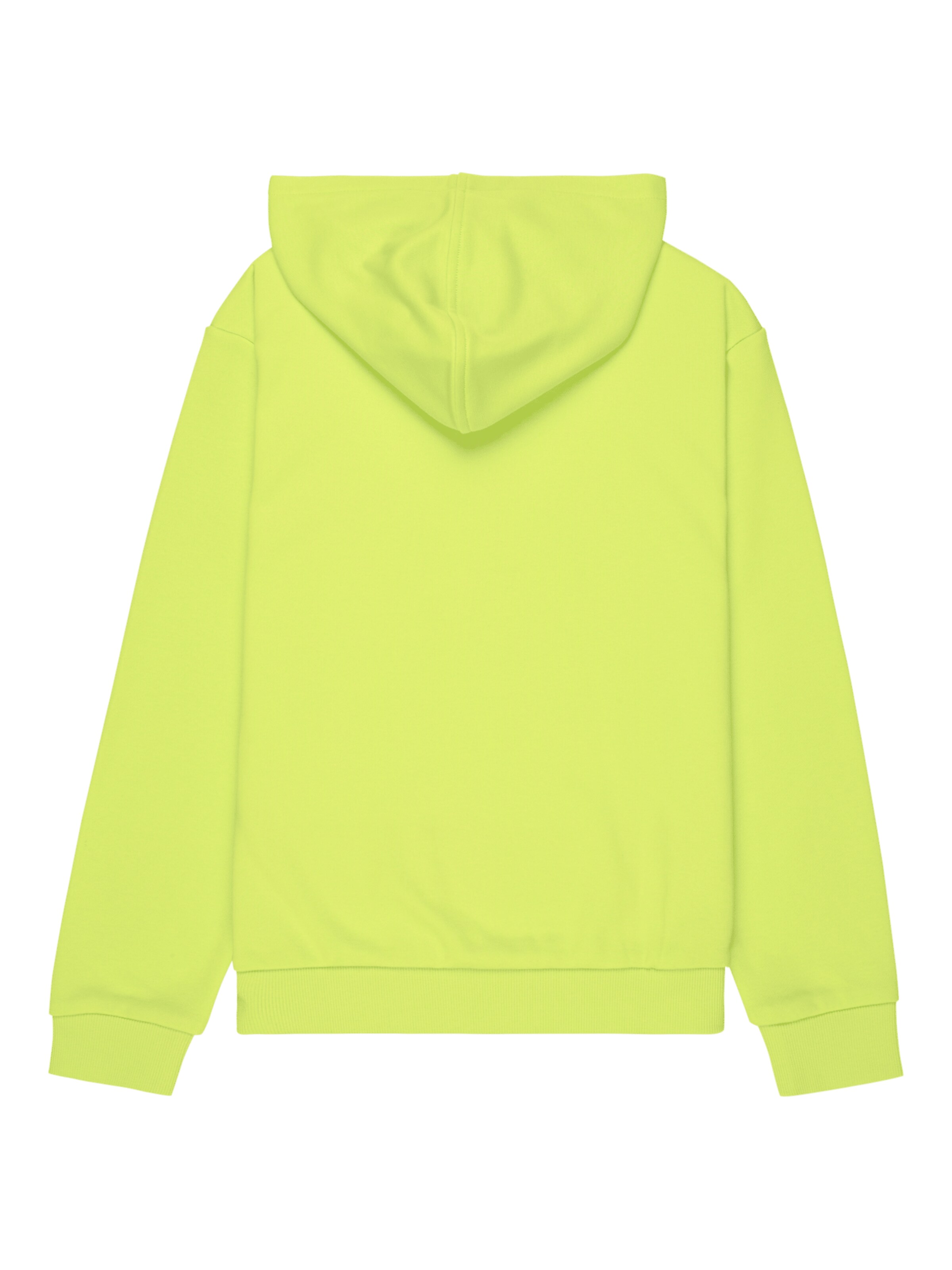 ROXY Sweatshirt 'Surf Feeling Terry' in Grün