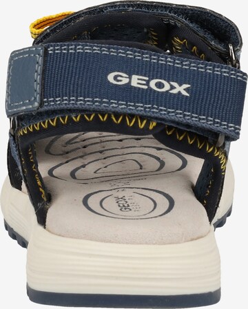 Chaussures ouvertes 'Alben' GEOX en bleu