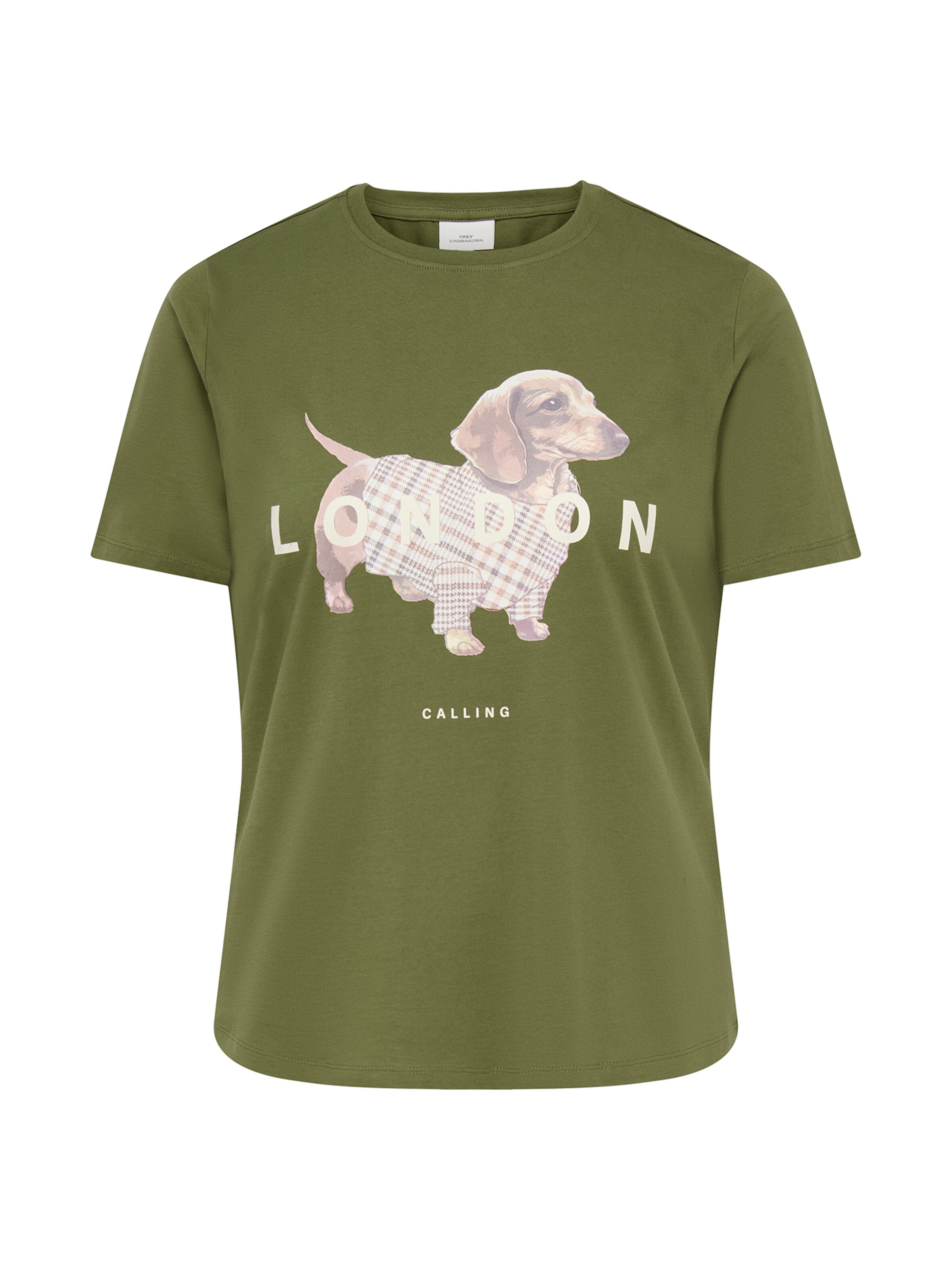 ONLY Carmakoma - Camiseta 'CARMELS' en verde: frente