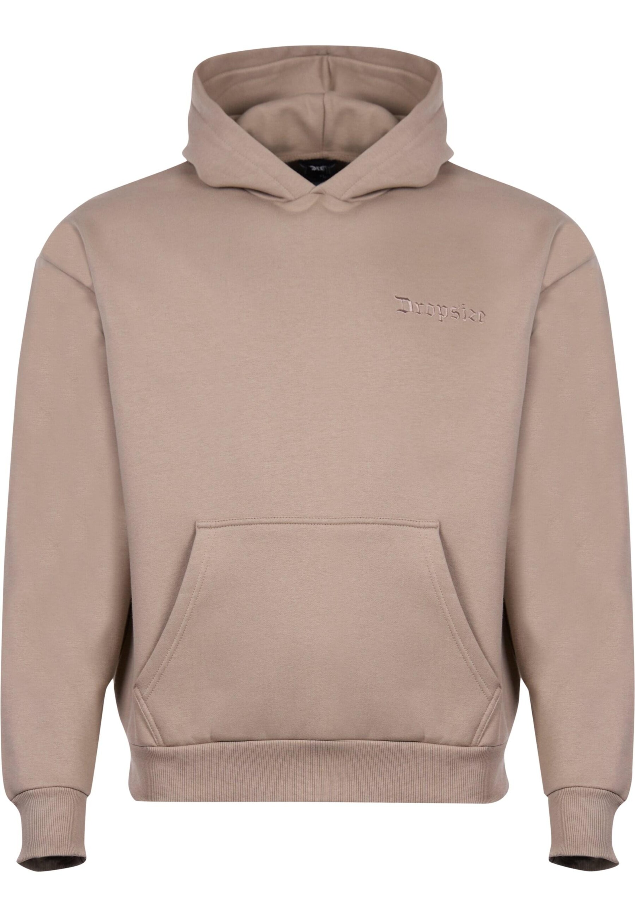 Dropsize Sweatshirt in Brown: front