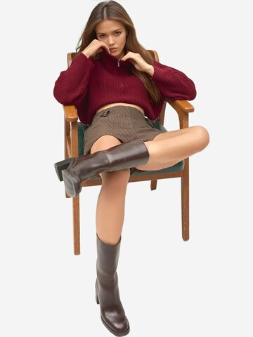 Hiccup Trui 'Pullover' in Rood