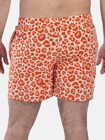Shorts de bain Frozen Cape en mélange de couleurs
