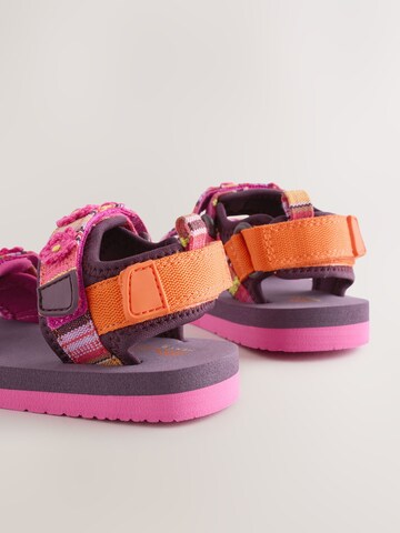 Sandales Next en violet