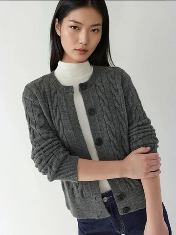 Hiccup Strickjacke in Grau