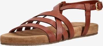 Sandales à lanières LAZAMANI en marron : devant